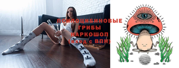 МДПВ Абинск