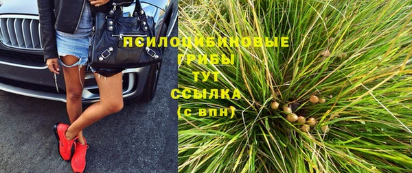 спиды Абаза