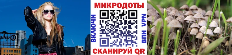 Галлюциногенные грибы Psilocybine cubensis  это какой сайт  ОМГ ОМГ зеркало  Знаменск  что такое  