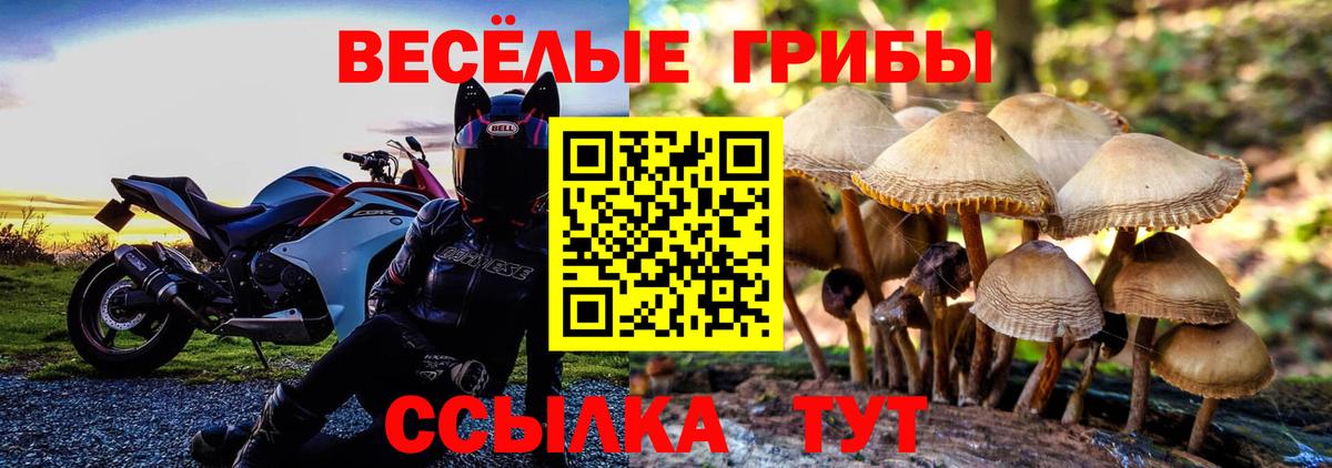 Галлюциногенные грибы Psilocybine cubensis  Вход с VPN  Знаменск  Галлюциногенные грибы мицелий 